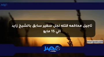 تأجيل محاكمة قتلة نجل سفير سابق بالشيخ زايد إلى 15 مايو